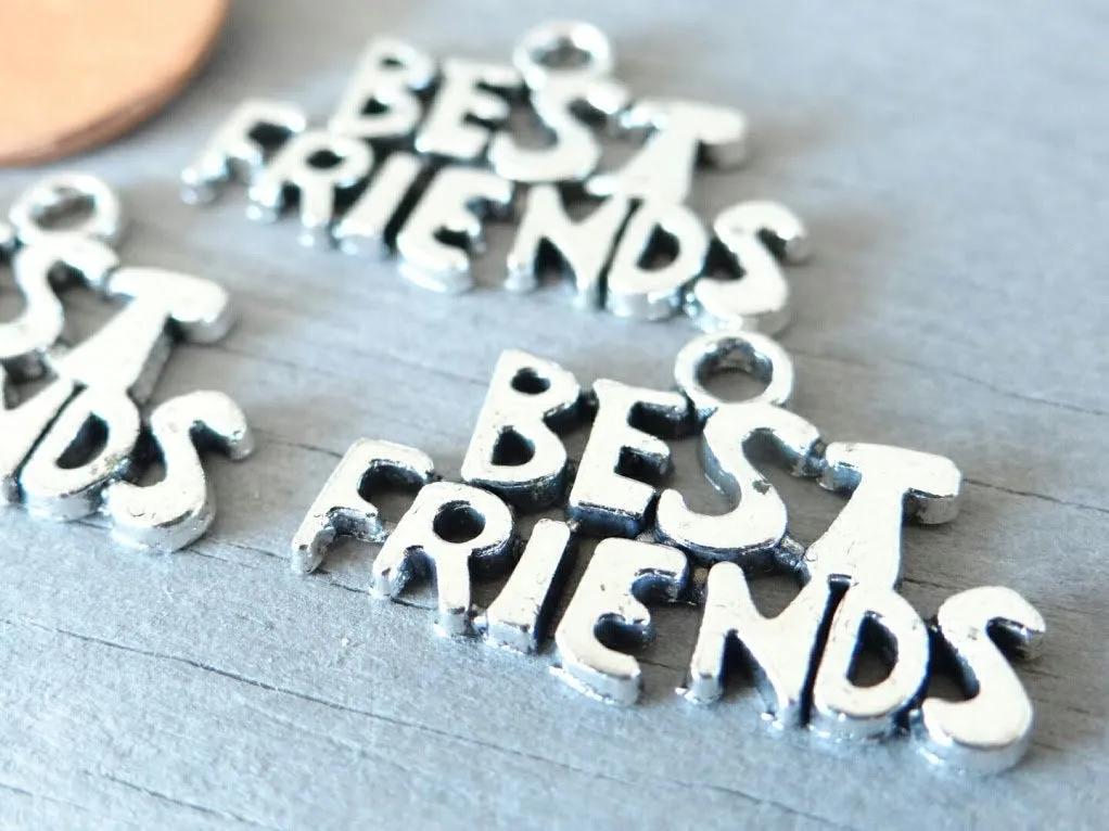 12 pc Best Friends charm, best friends, friendship charm, Charms, wholesale charm, alloy charm
