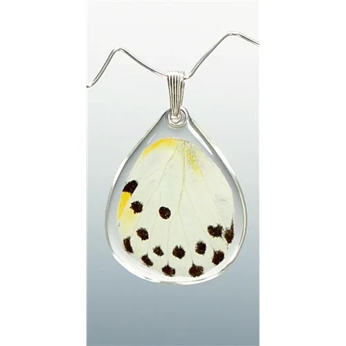 Calypso Butterfly Pendant