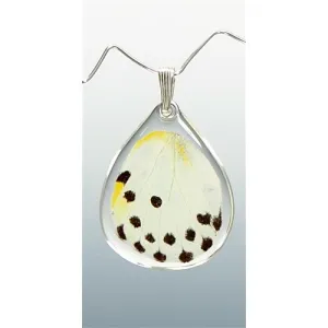 Calypso Butterfly Pendant
