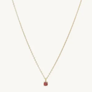 Classic Birthstone Necklace January