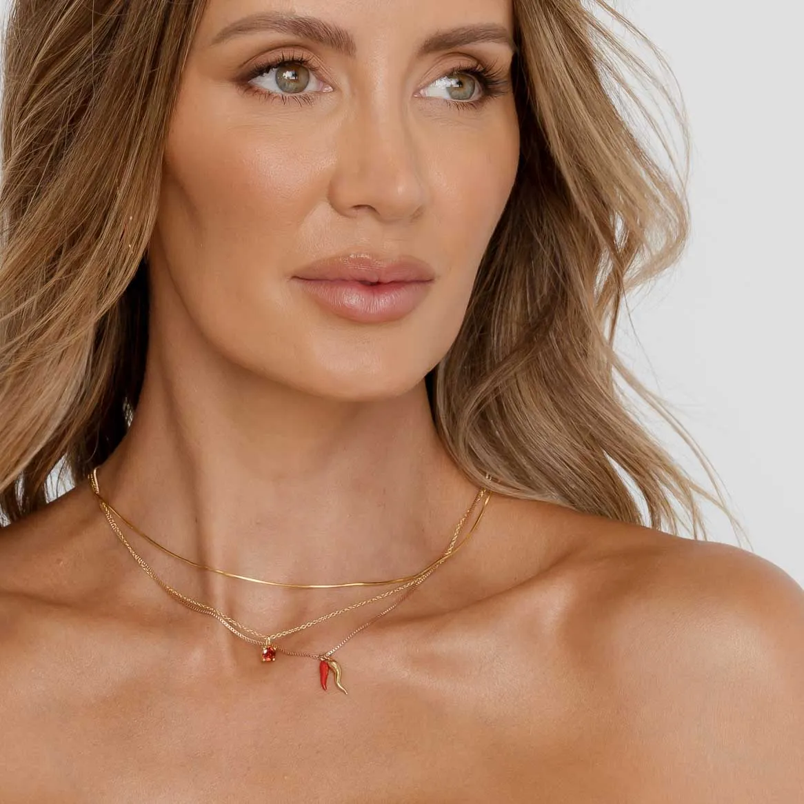 Classic Birthstone Necklace January