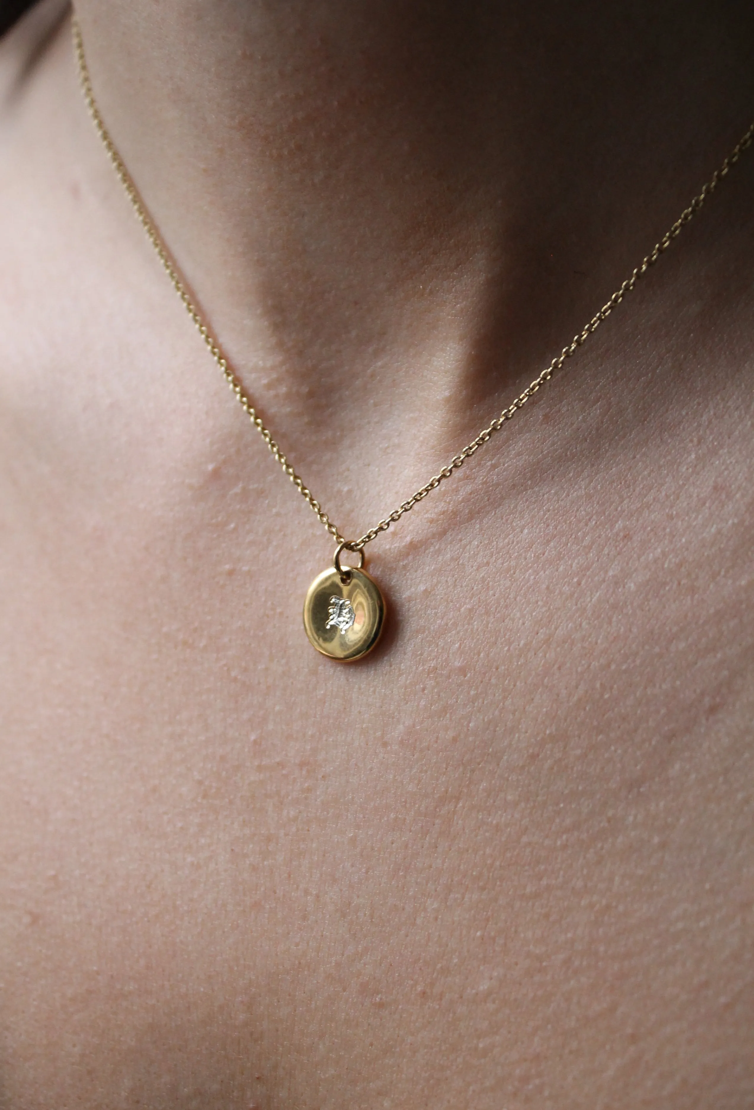 Compass Symbol Pendant