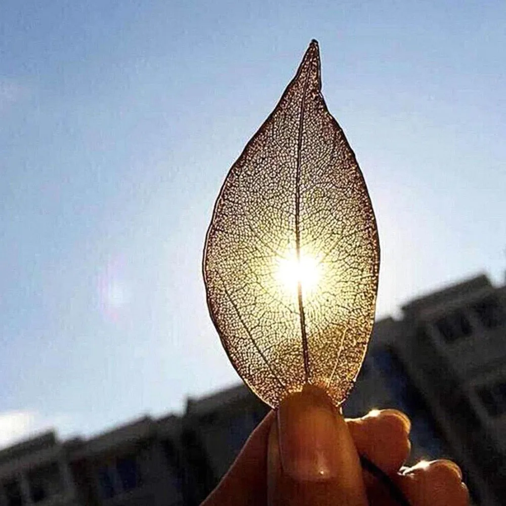 Leaf Pendant Necklace