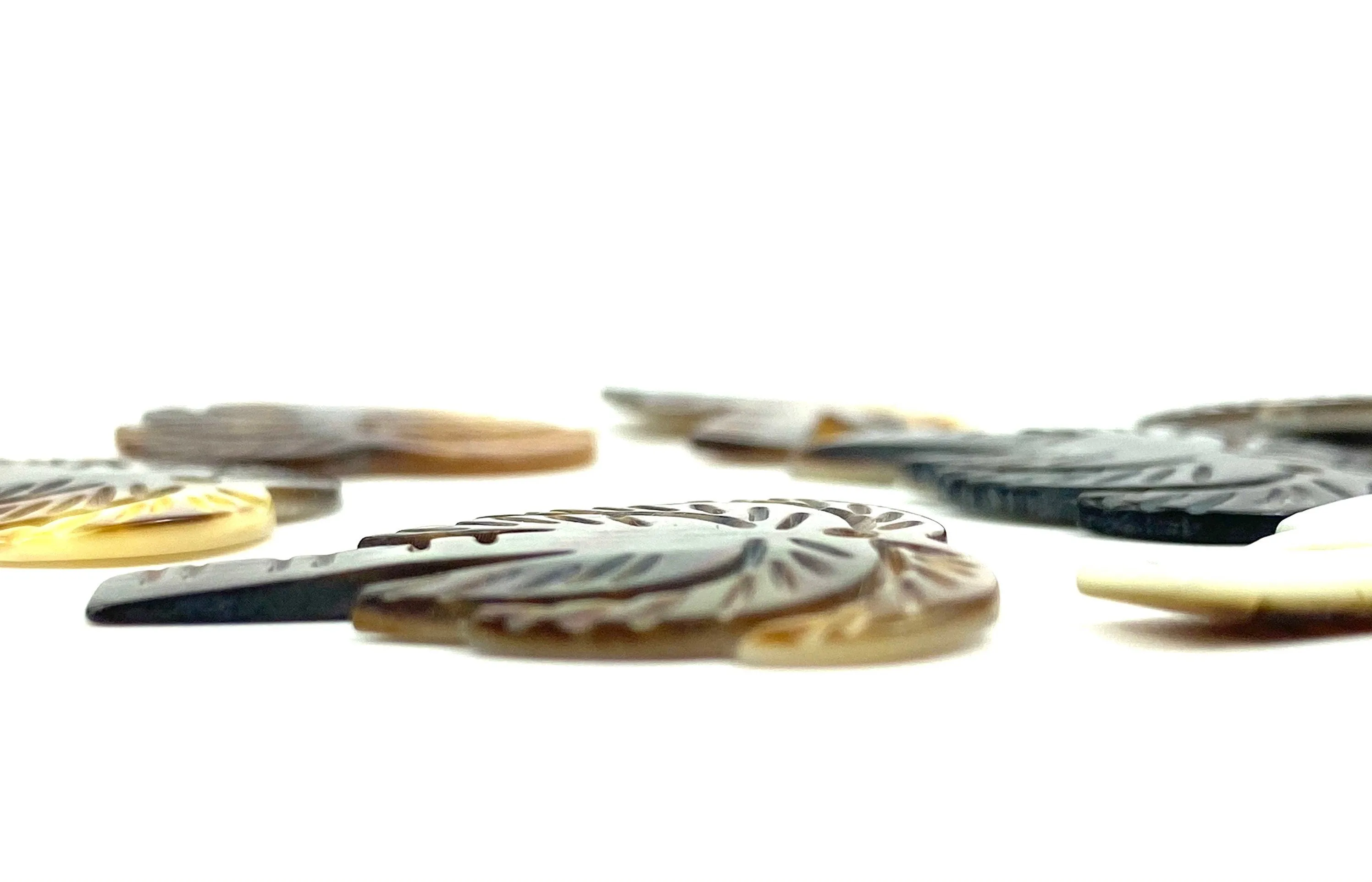 Mother Of Pearl Palm Tree Shell, Sku#M322
