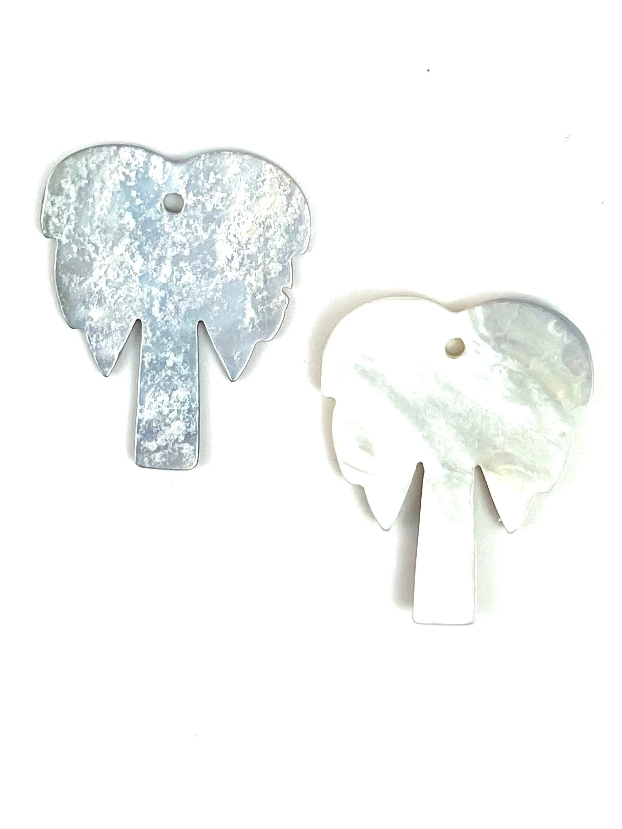 Mother Of Pearl Palm Tree Shell, Sku#M322