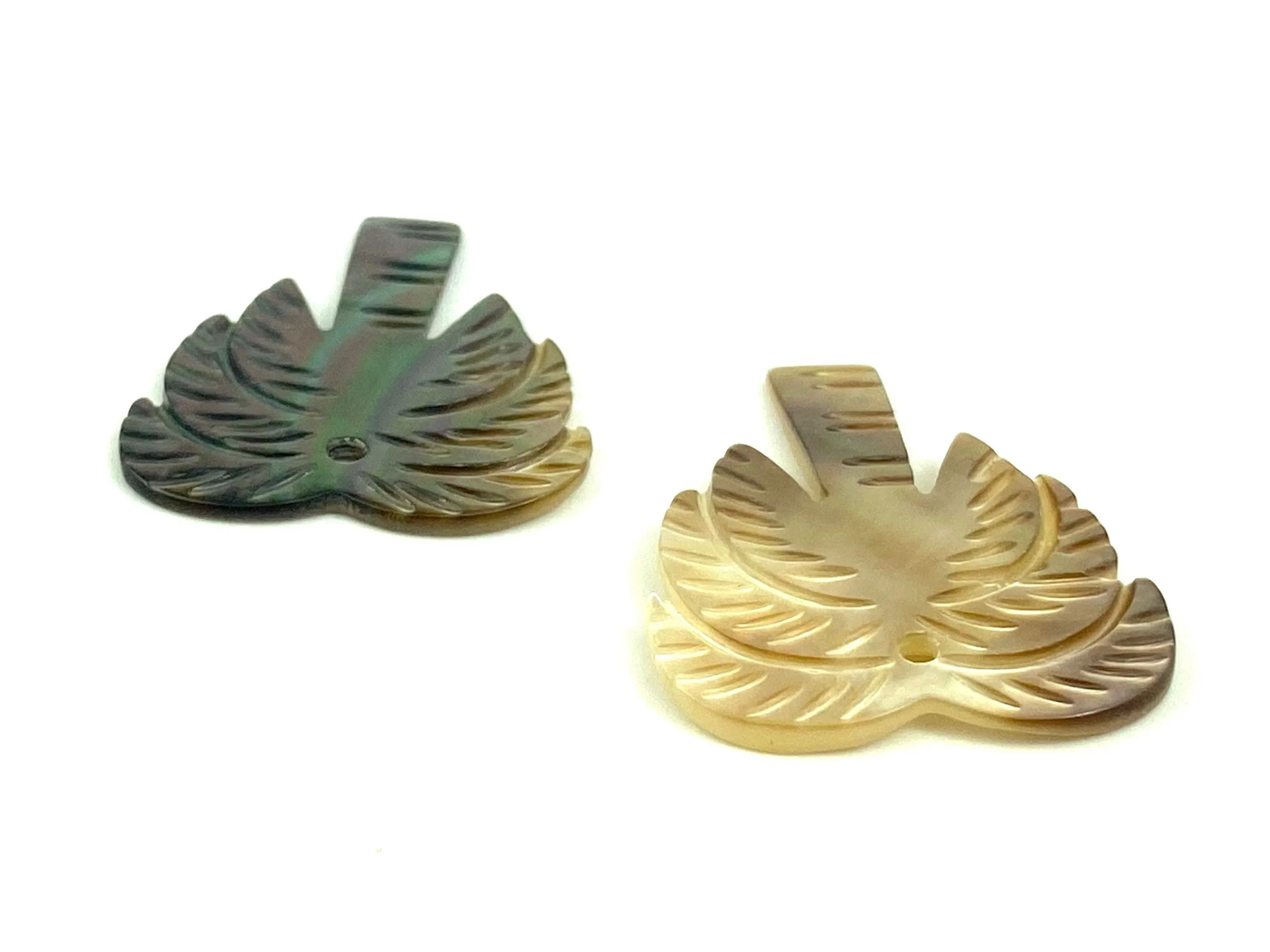 Mother Of Pearl Palm Tree Shell, Sku#M322