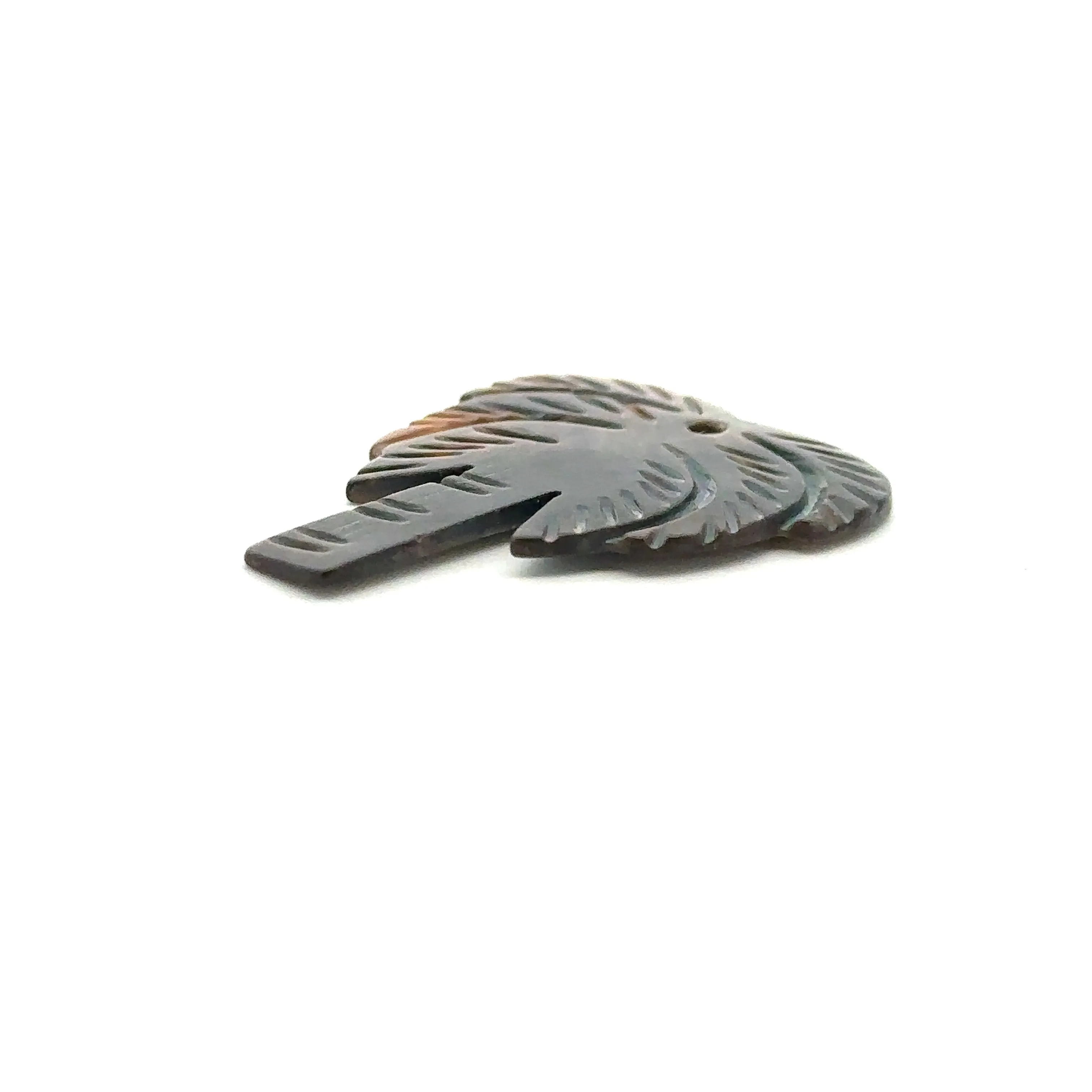 Mother Of Pearl Palm Tree Shell, Sku#M322