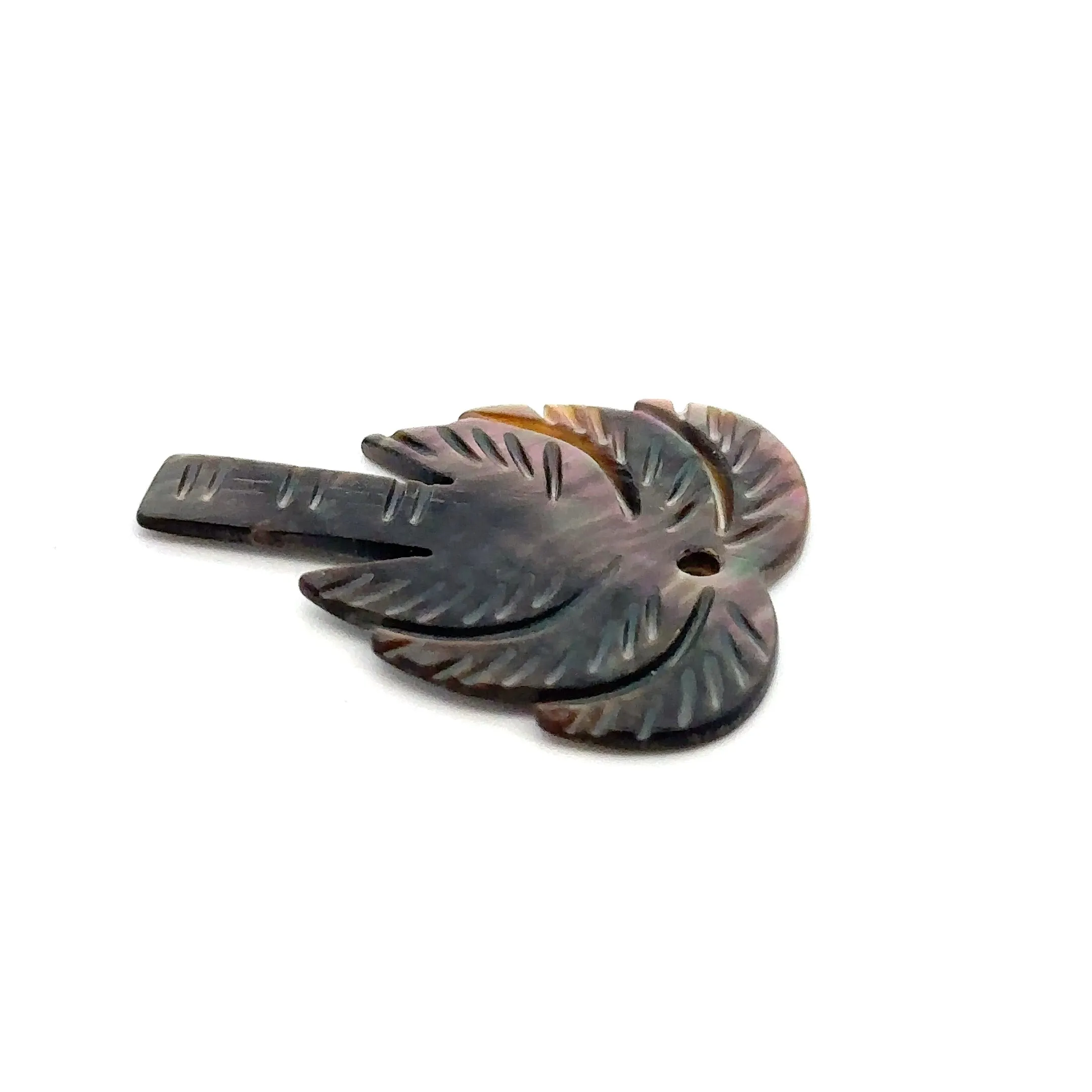 Mother Of Pearl Palm Tree Shell, Sku#M322