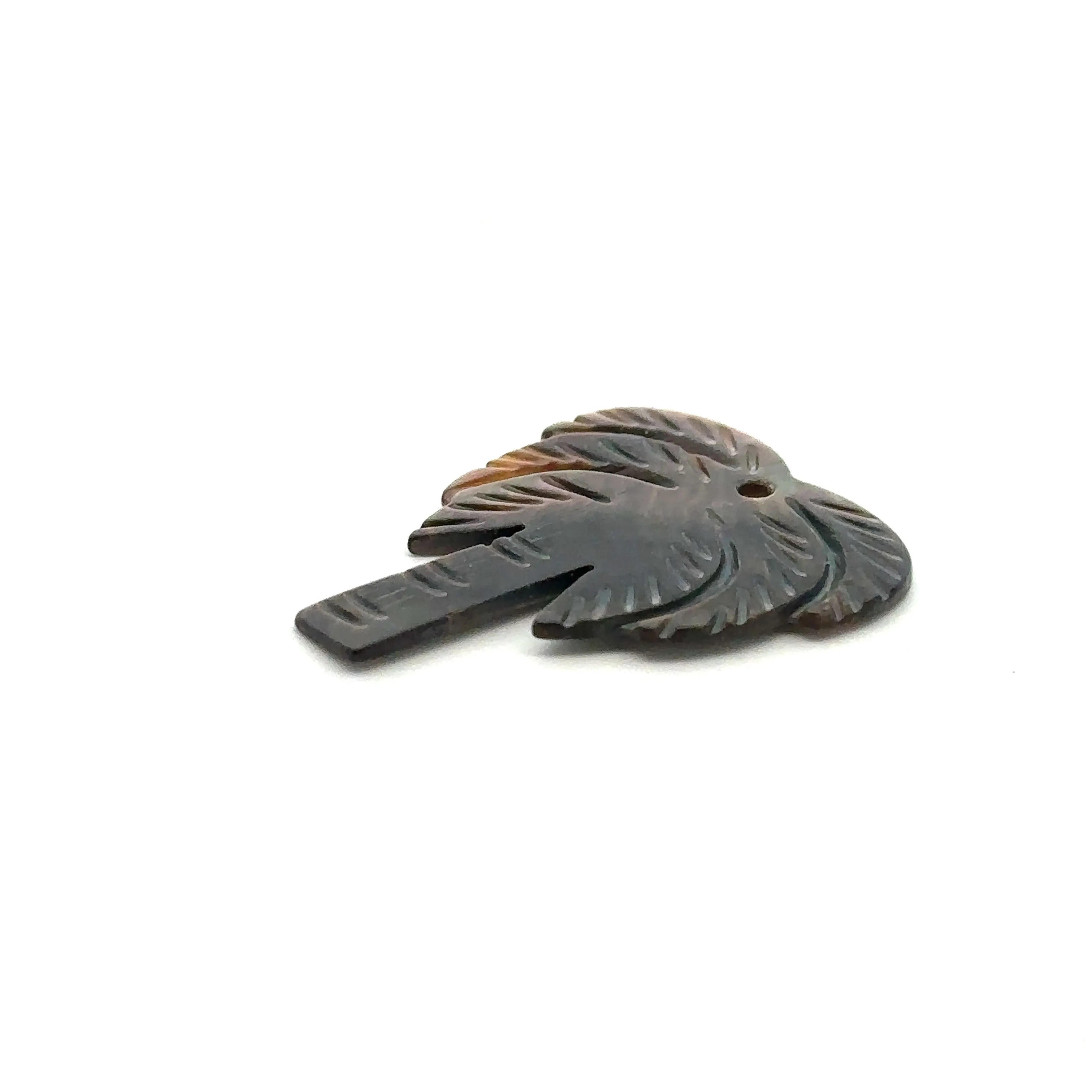Mother Of Pearl Palm Tree Shell, Sku#M322