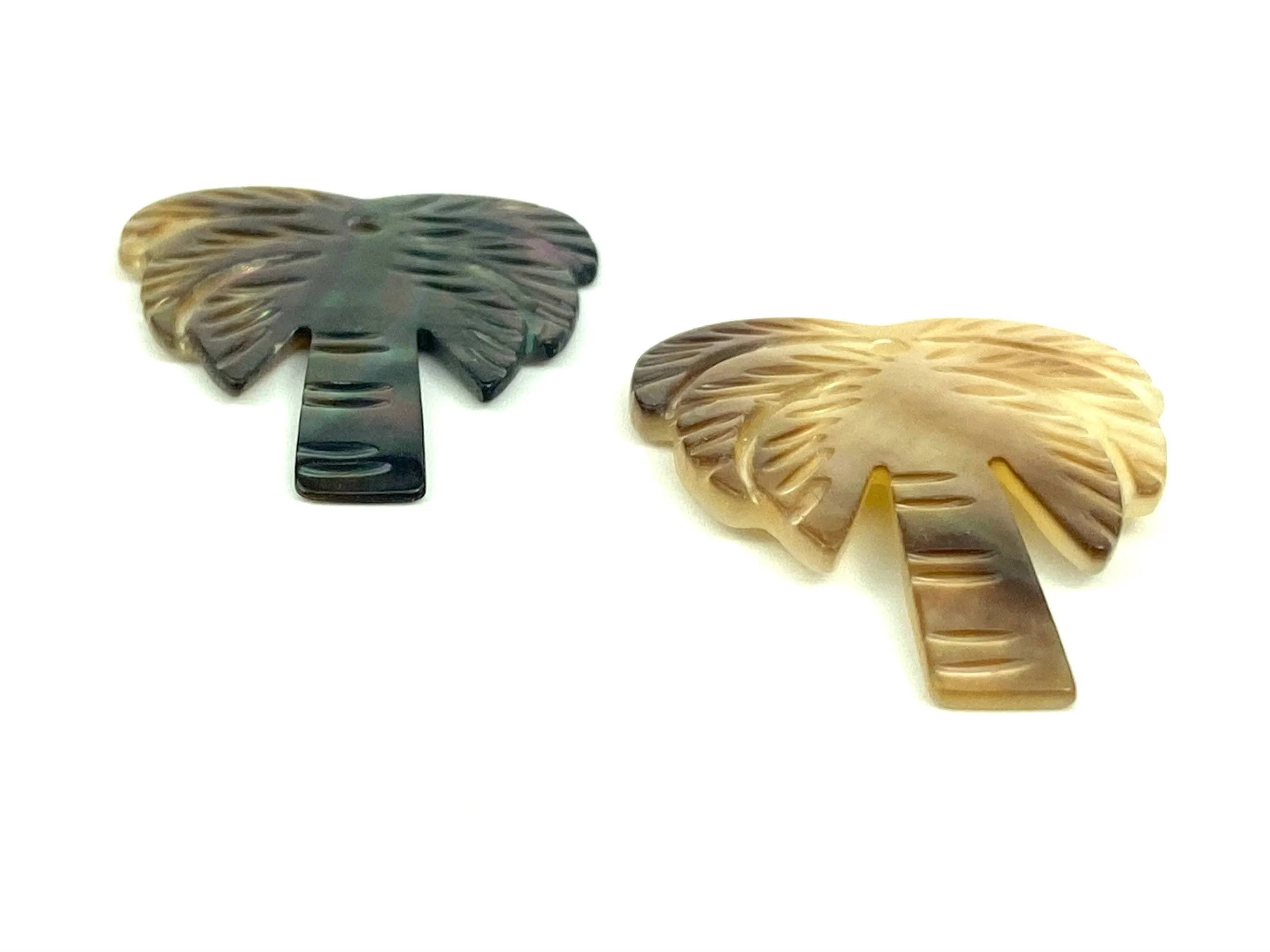 Mother Of Pearl Palm Tree Shell, Sku#M322