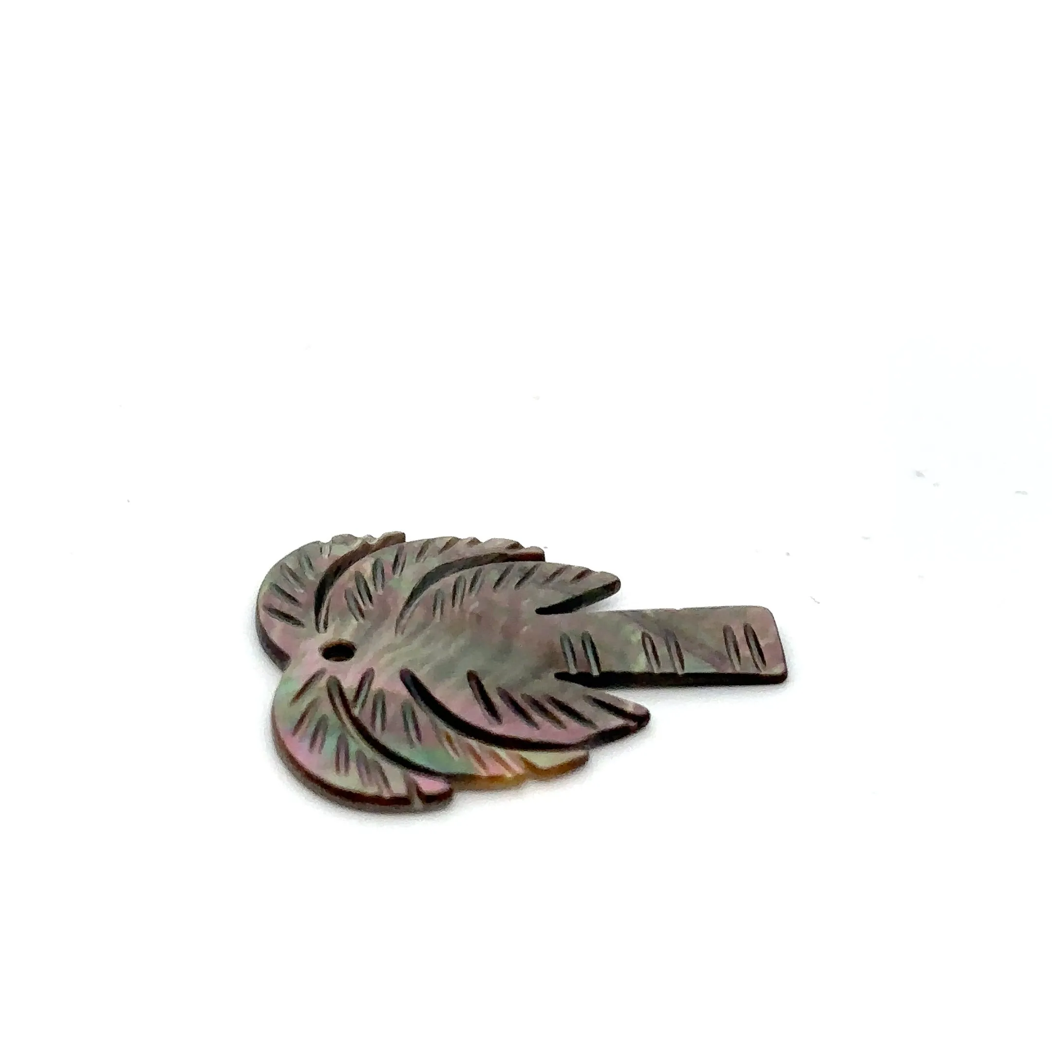 Mother Of Pearl Palm Tree Shell, Sku#M322