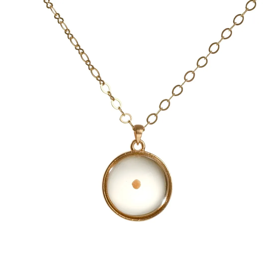 Real Mustard Seed Necklace in Glass Orb