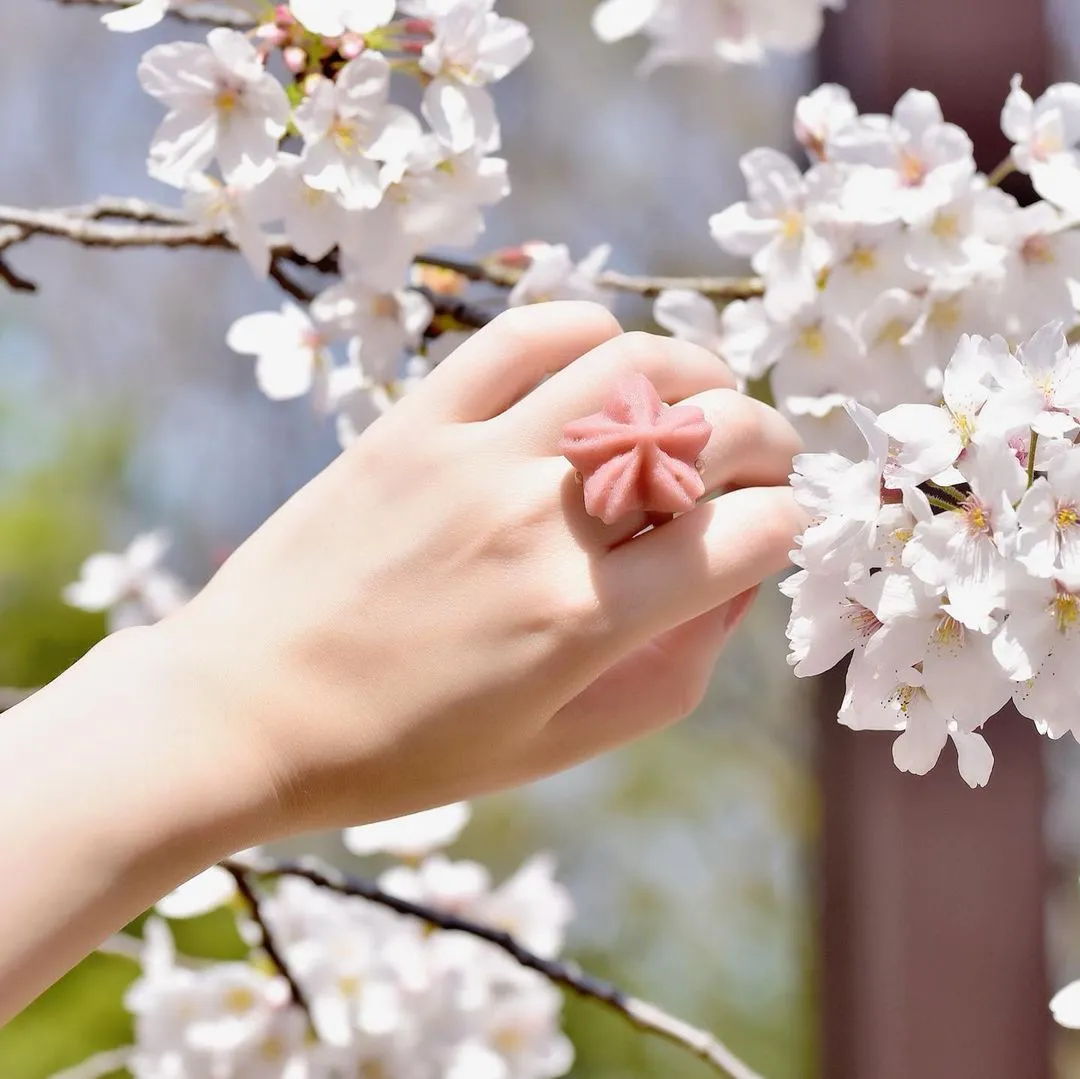 SAKURA Bean Paste Ring【Japan Jewelry】