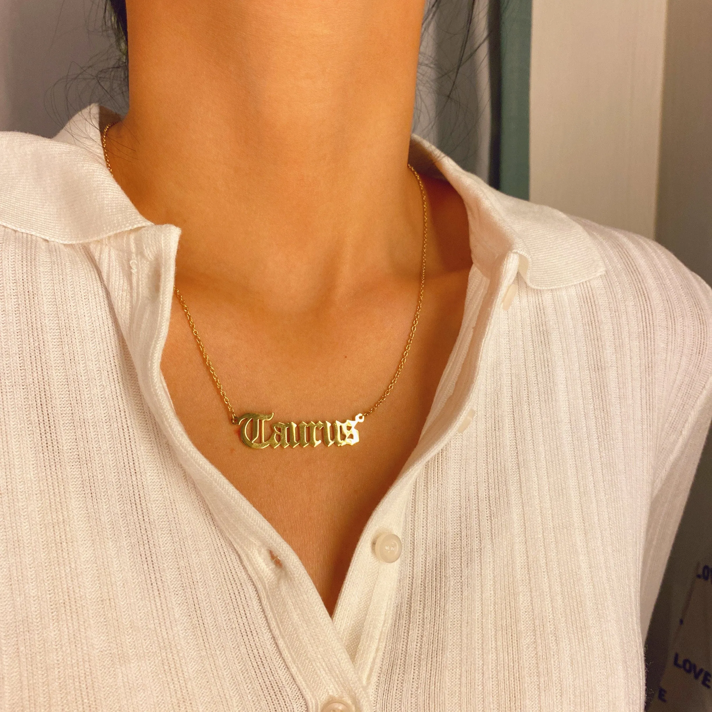 Stainless Steel Constellation Zodiac Astrology Letter Pendant Necklace