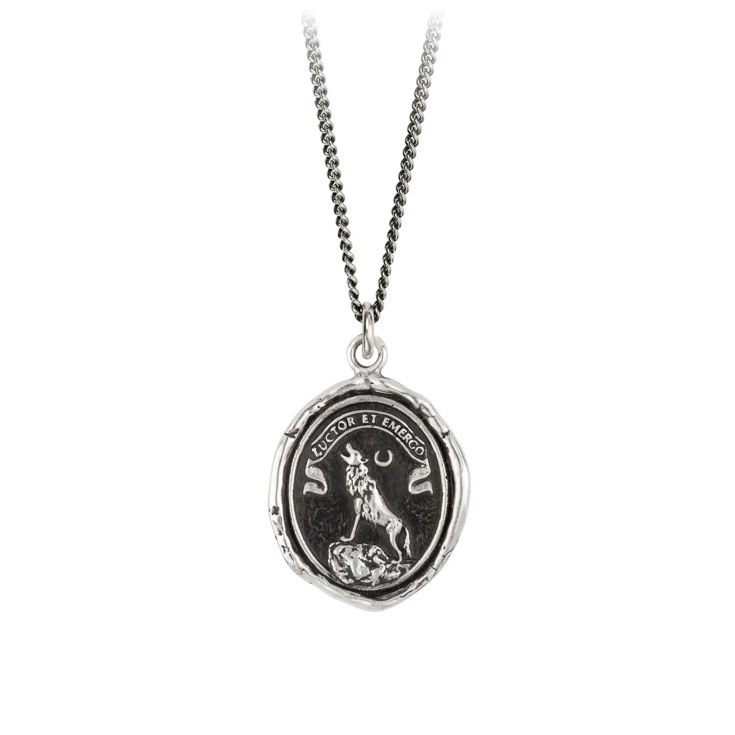 Struggle & Emerge Talisman Necklace