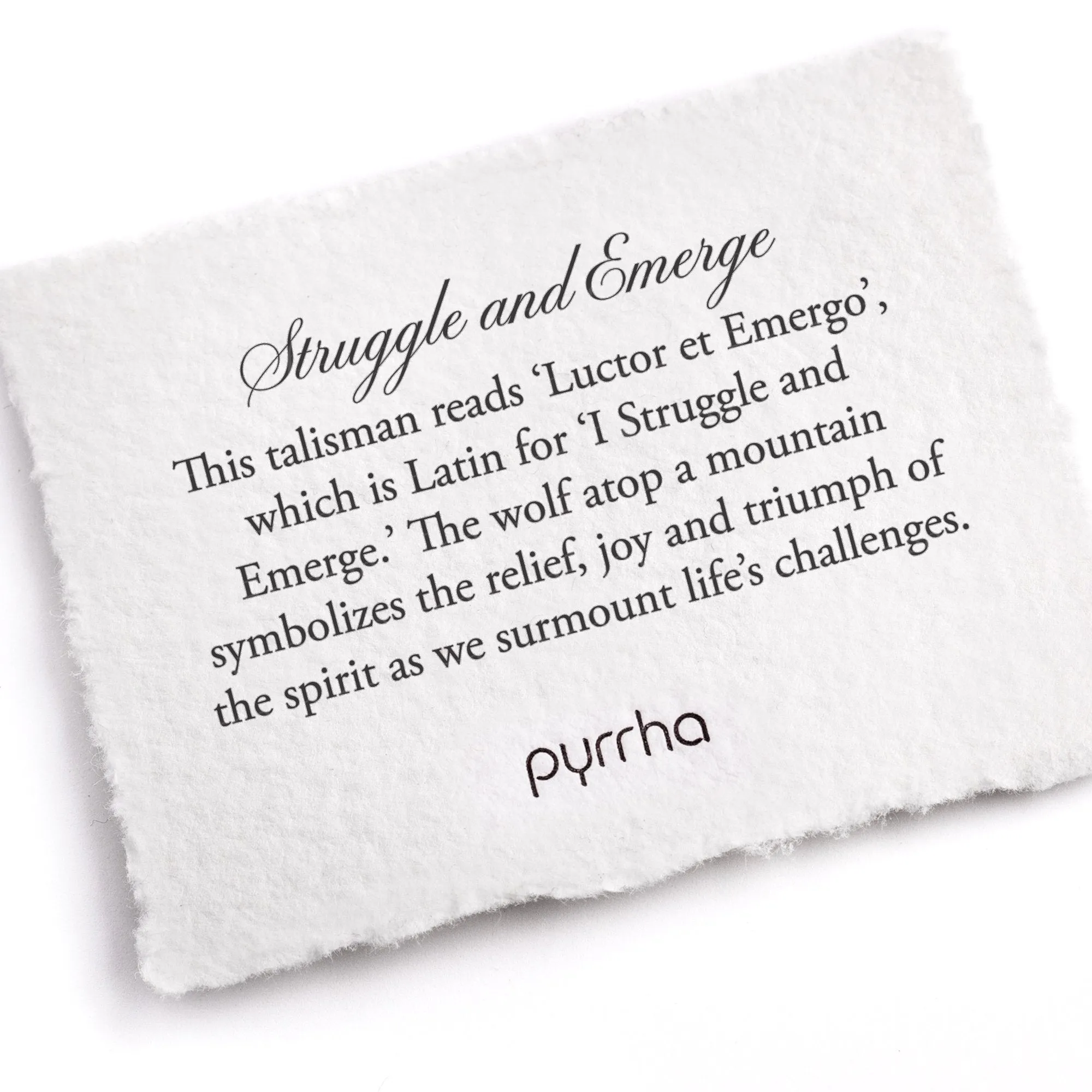 Struggle & Emerge Talisman Necklace