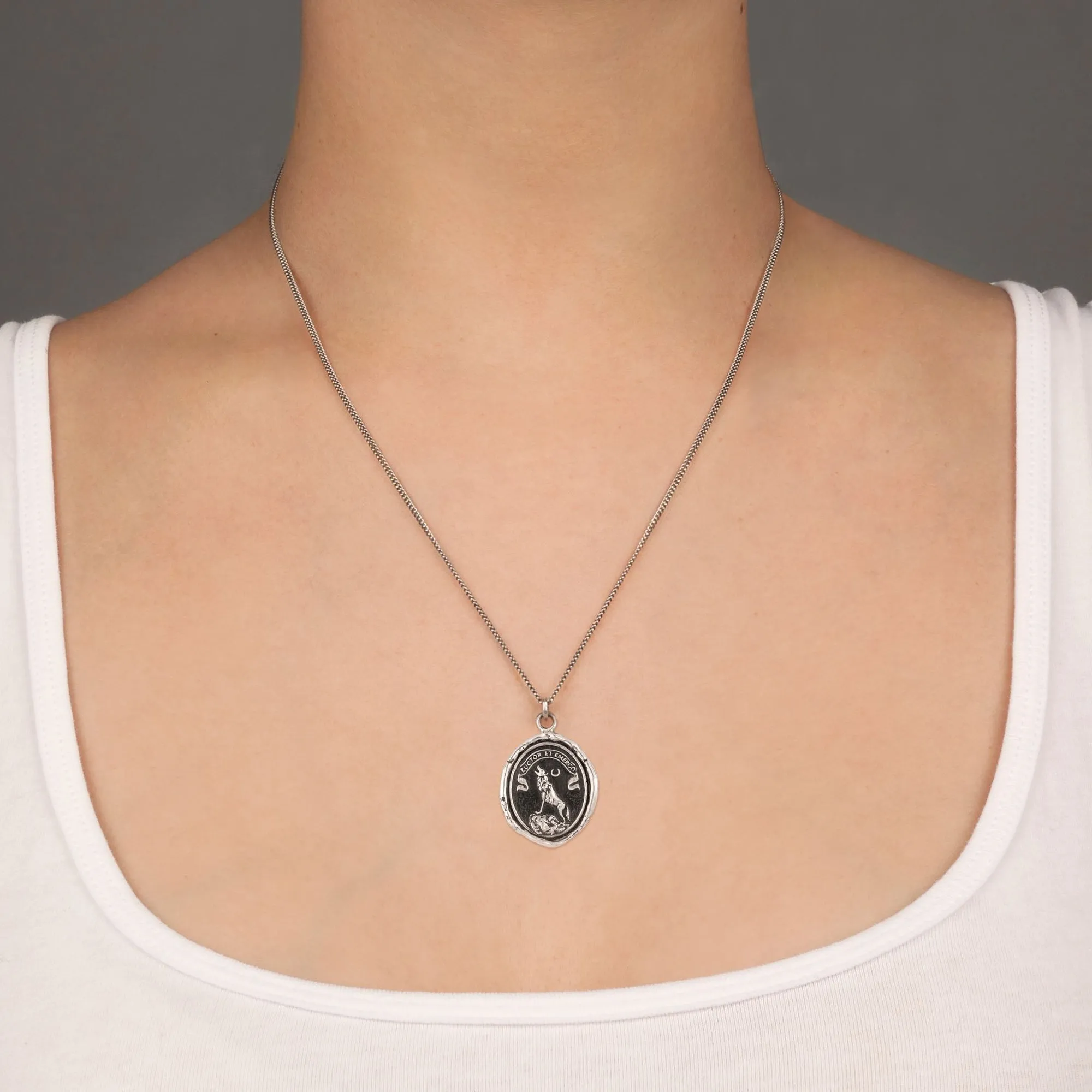 Struggle & Emerge Talisman Necklace