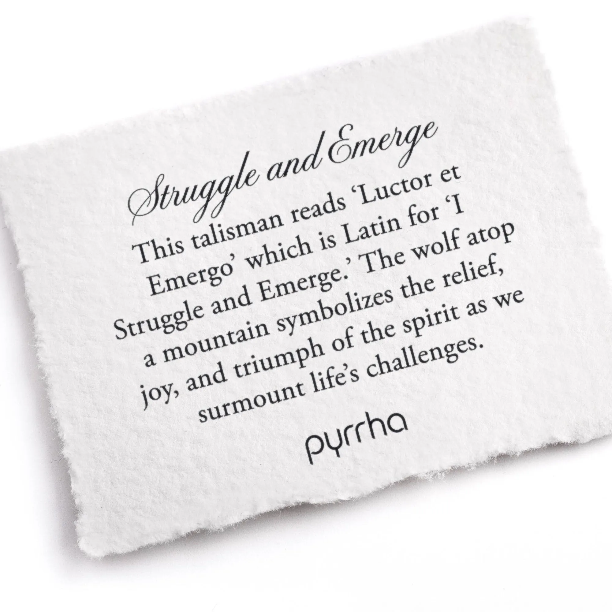 Struggle & Emerge Talisman Necklace