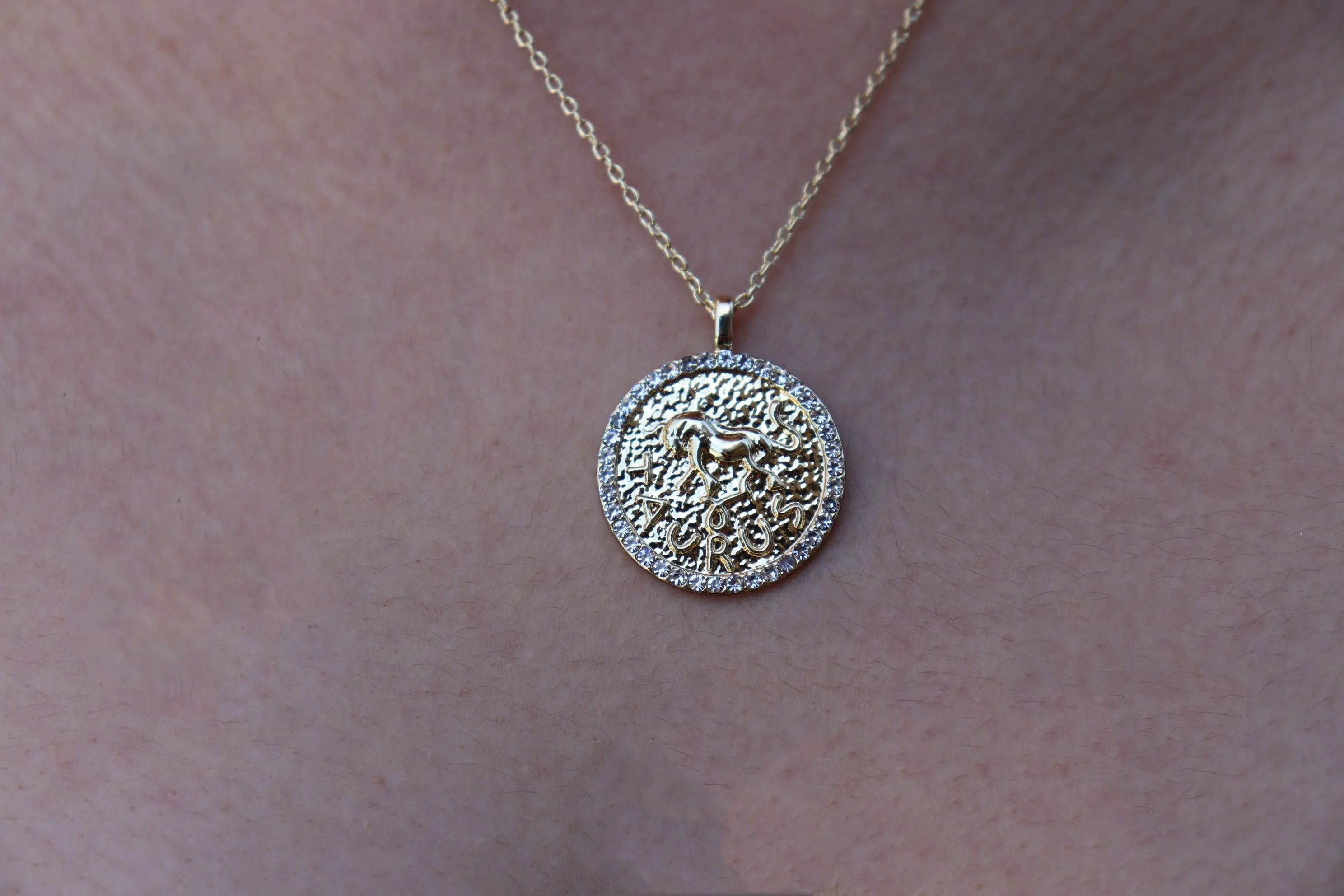 Zodiac bling necklaces (Select your sign)