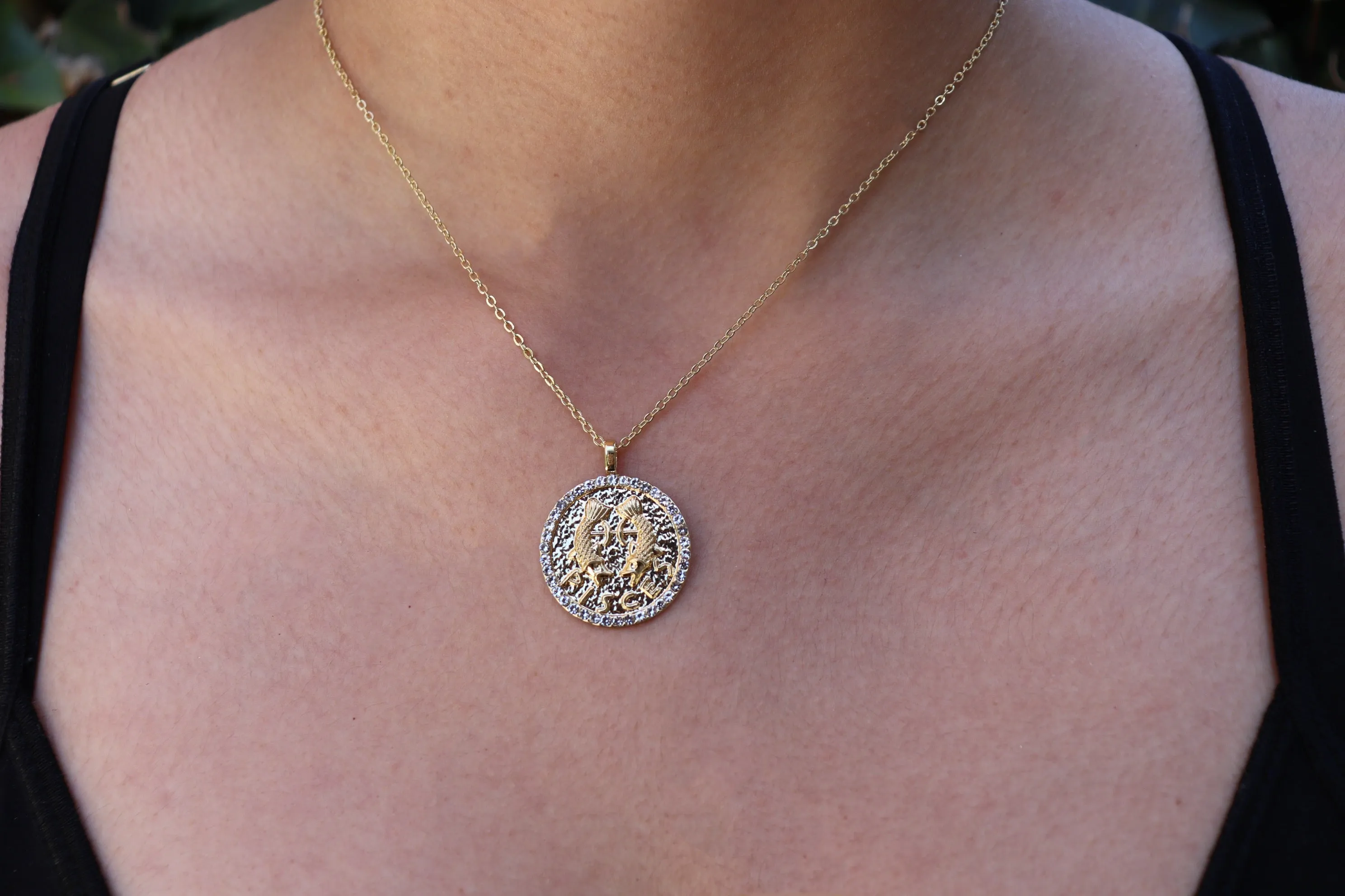 Zodiac bling necklaces (Select your sign)