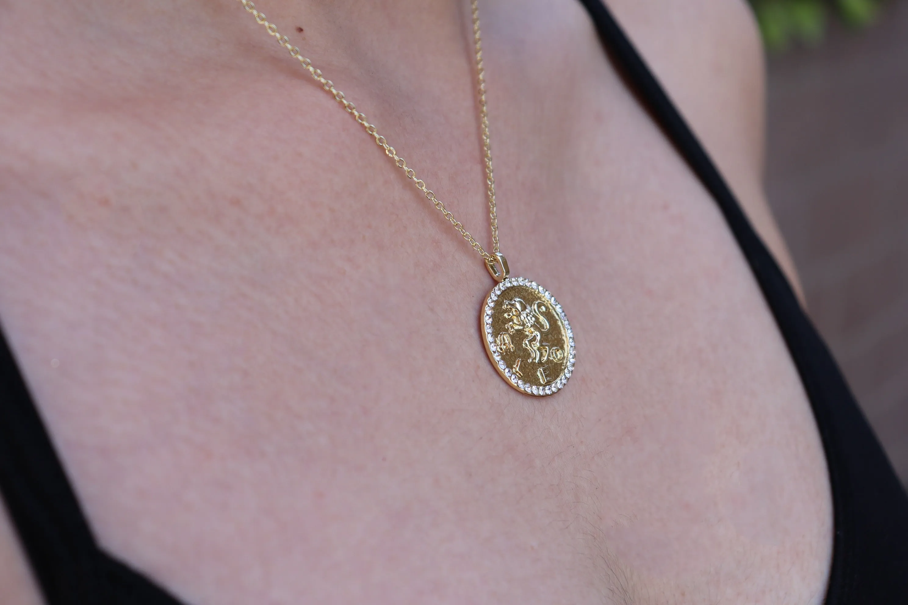 Zodiac bling necklaces (Select your sign)